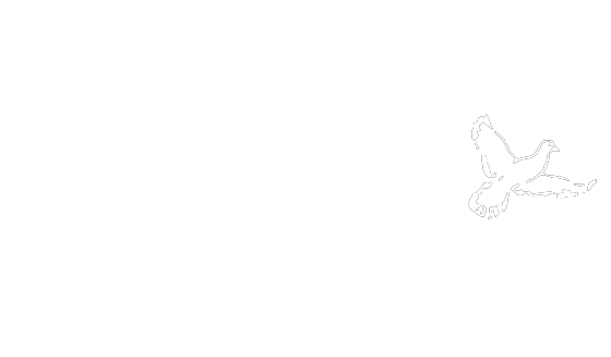 Greater Deliverance Church – Coatesville, PA